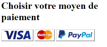 Rendu visuel pour choisir le moyen de paiement avec trois boutons VISA, Mastercard et PayPal