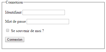 Rendu visuel du formulaire de connexion