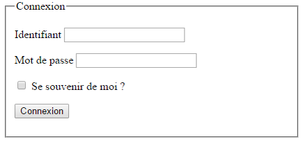 Rendu visuel du formulaire de connexion